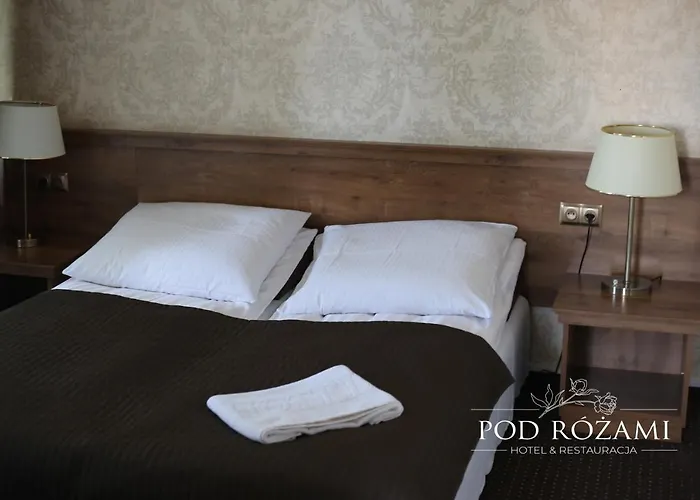 Hotel Pod Rozami Jedlnia-Letnisko photo