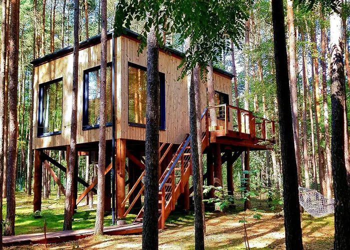 Tree Houses Olszanka Puszcza Marianska photo
