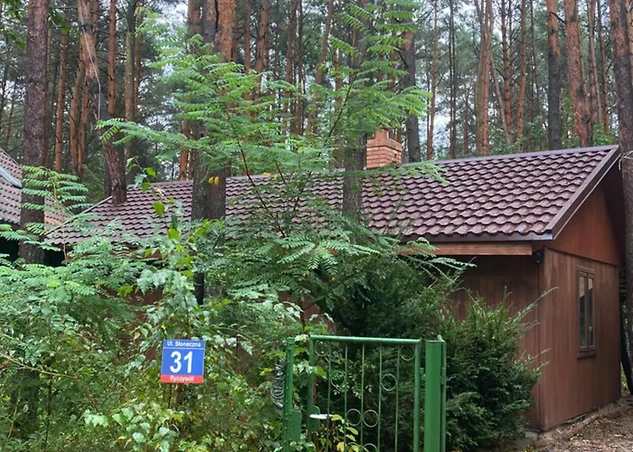 Przytulny Domek W Lesie Blisko Rzeki Ryczywol  photo