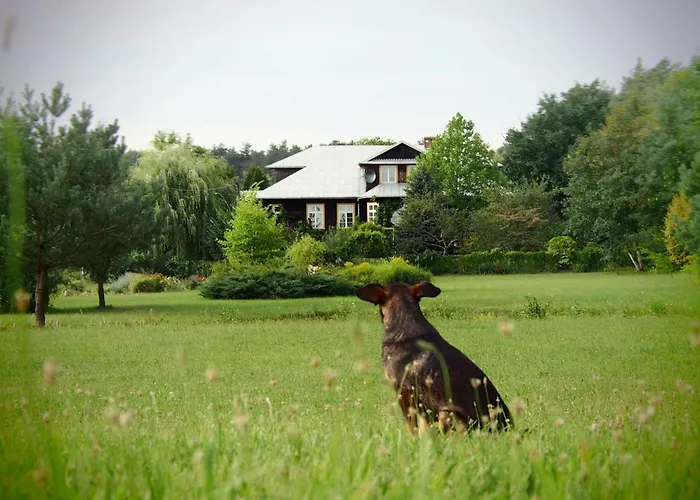 Stara Kornica Alpakarium, Hodowla Alpak & Pensjonat תמונה