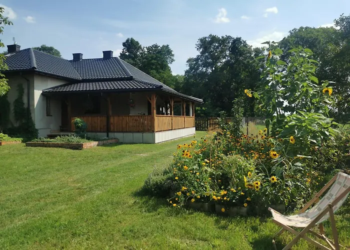 Villa Dom W Siedlisku Pod Orzechem Przylek foto