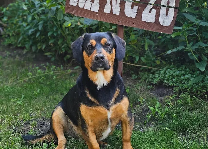 Villa Ranczo Przylek Przylep foto