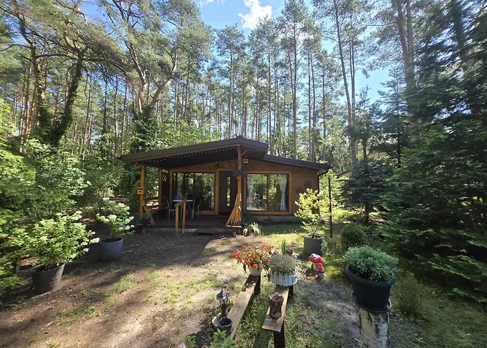 fotos do Homewood - Popowo Letnisko Gasiorowo 