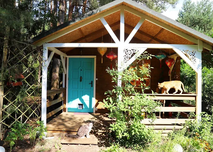 Domek Wróżki - Sanktuarium Laparica w Puszczy Białej Dybki foto