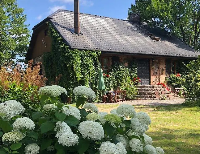 Kamienny Mlyn Wodny Lowczego Villa Zaborze  photo